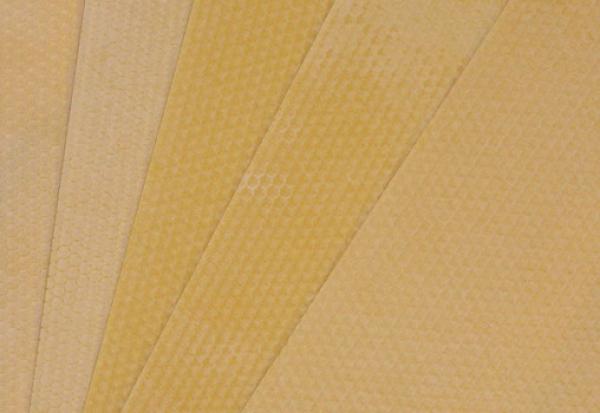 Mittelwände 420 x 117 mm Dadant US Honig Regionalwachs